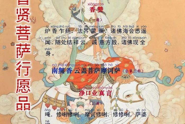 佛教用语知识大全图片高清，佛教用浯