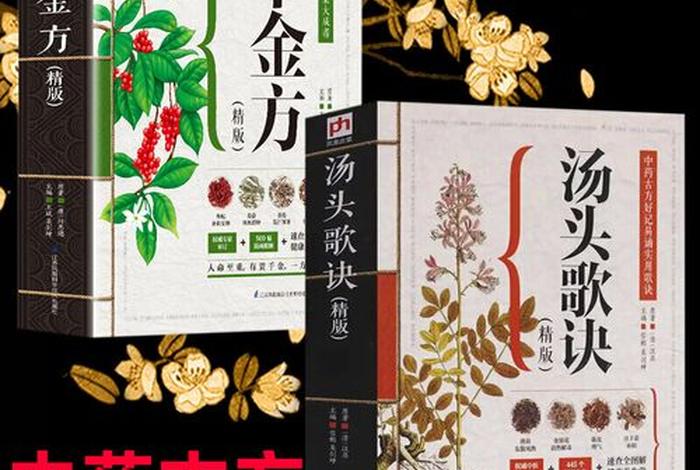 佛教中医秘方 佛教中医方剂