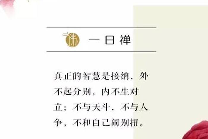 每日一禅视频全集 每日一禅经典最新