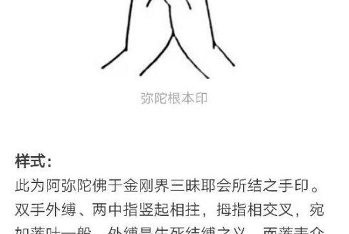 三法印指的是哪三法印？、三法印的真实含义