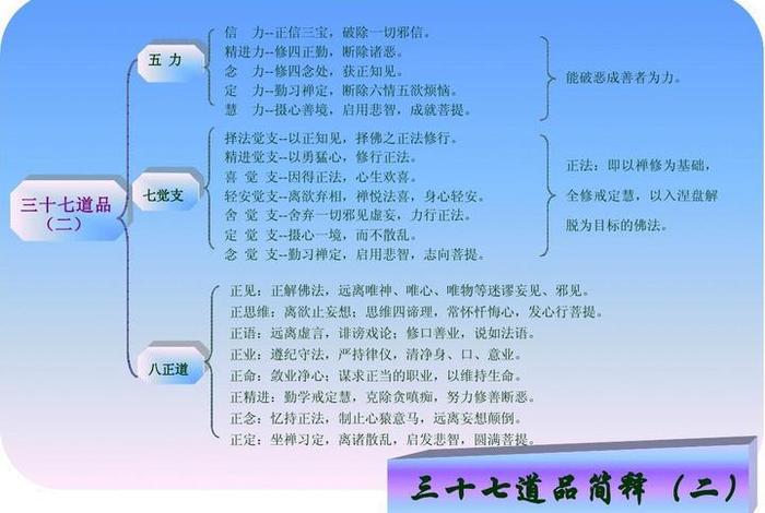 一分钟佛教常识37 一分钟佛教常识全集视频