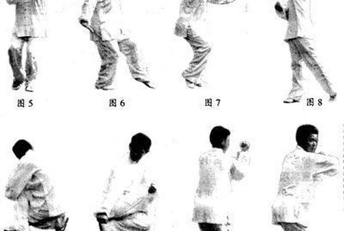 一分钟学会太极八法 太极八法教学示范
