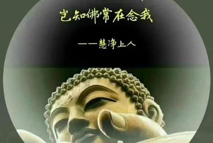 佛教净土是什么意思、佛教净土是什么意思？