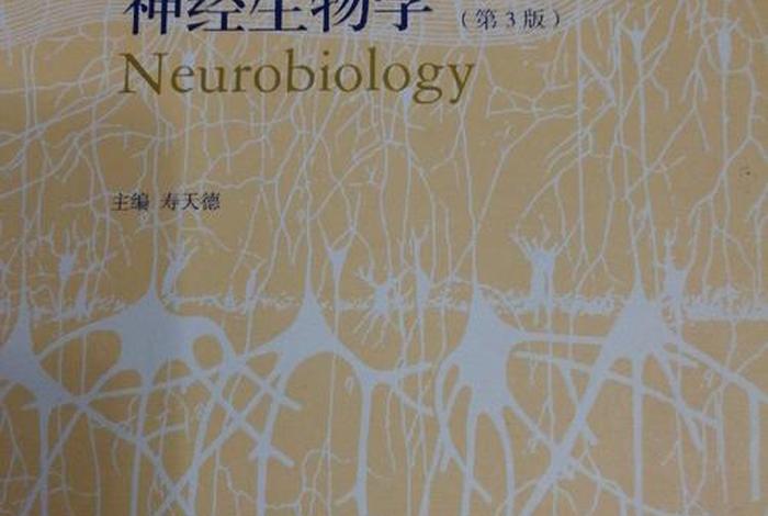 高考神学基础知识 基础神学书籍