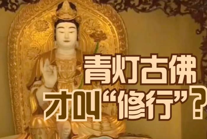 关于佛教的知识视频讲解、关于佛教的知识视频讲解下载