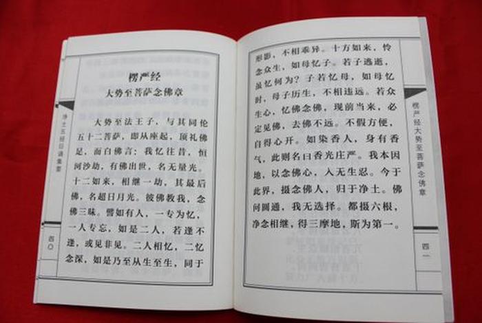 佛教各宗教典籍（佛教典籍有哪些）