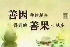 佛教常识何为无畏布施、佛教中的无畏布施怎么解释