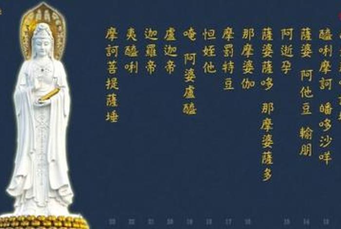 佛教高阶知识大全视频播放 - 佛教高阶知识大全视频播放下载安装