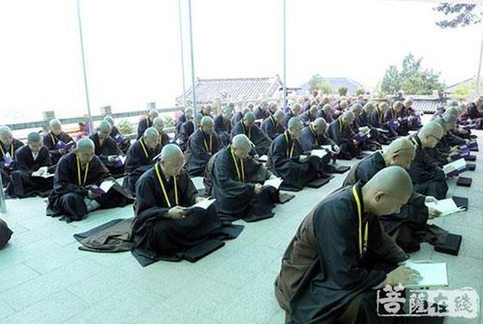 界诠法师讲戒律全部视频（界诠法师初学基础视频）