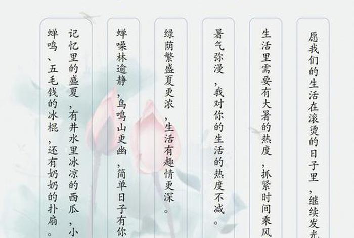 佛教与大暑节相关知识点总结（佛教与大暑节相关知识点总结图）