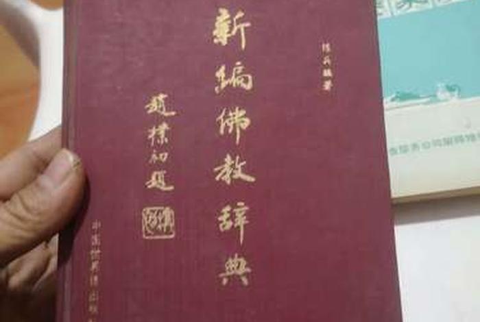 新佛教书籍入门知识大全图片（新编佛教辞典）