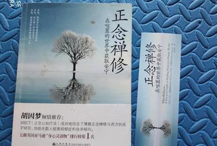 禅修经典书籍 - 禅修 书籍
