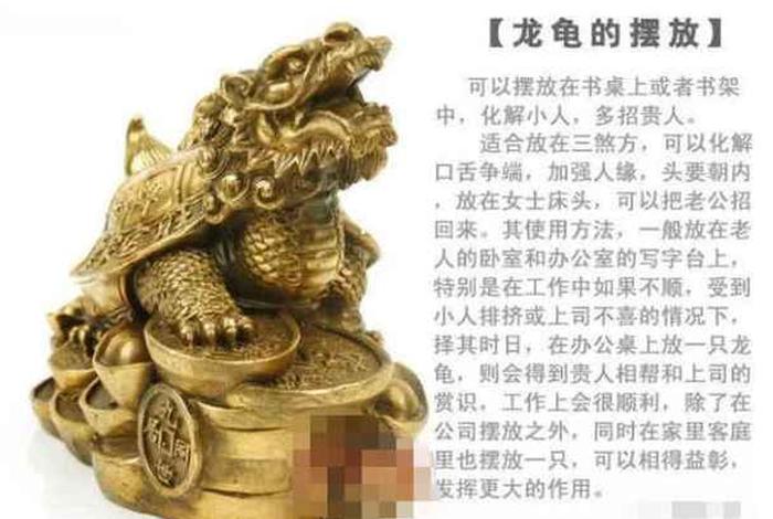 玄学上什么人不适合养龟，什么人不能养风水龟