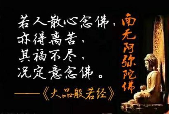 佛教说的善根是什么啊，善根是啥意思