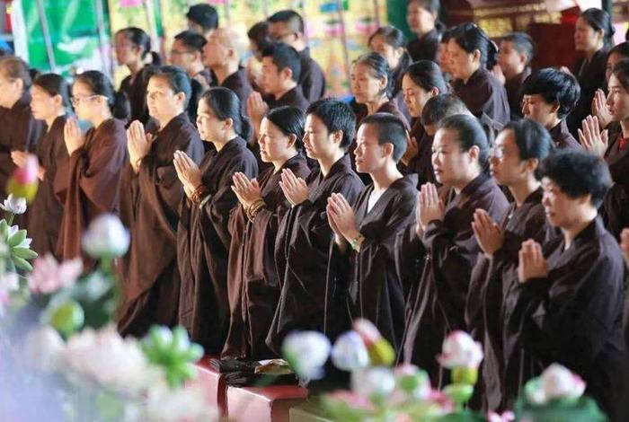 寺院知识讲解；寺院知识讲解视频大全