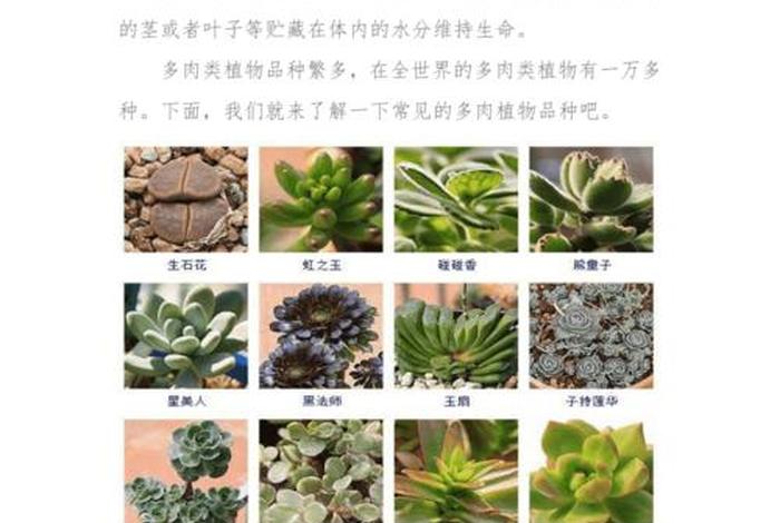 多肉新手入门必学知识书 - 多肉植物新手种植入门