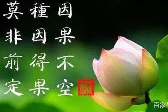 因果轮回的意思，因果轮回的意思是什么解释
