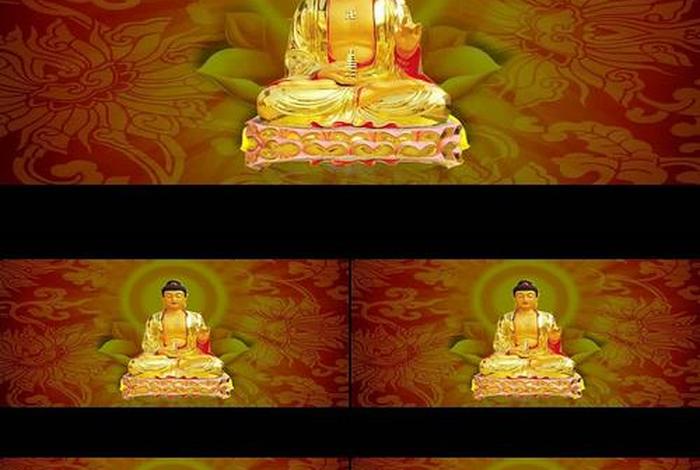 佛教知识抖音视频素材网站（抖音佛学视频）