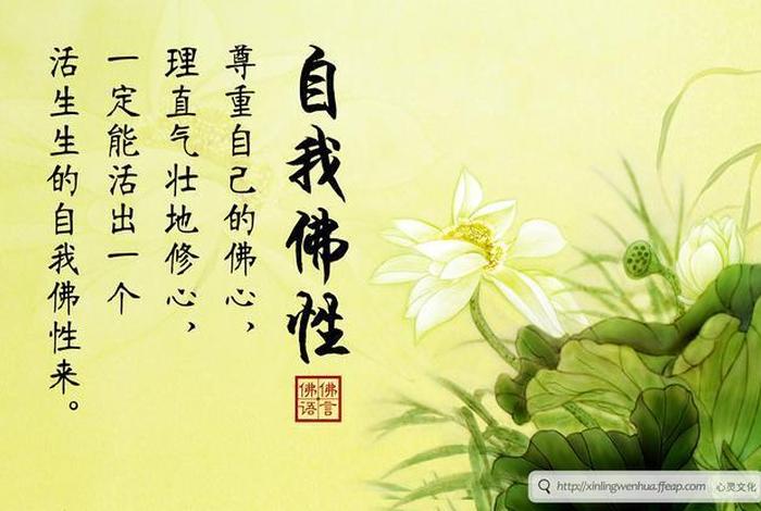 慈悲心佛学常识有哪些 - 佛教讲的慈悲心的句子