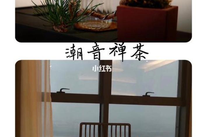 潮音禅院最新视频 - 潮音禅茶怎么样