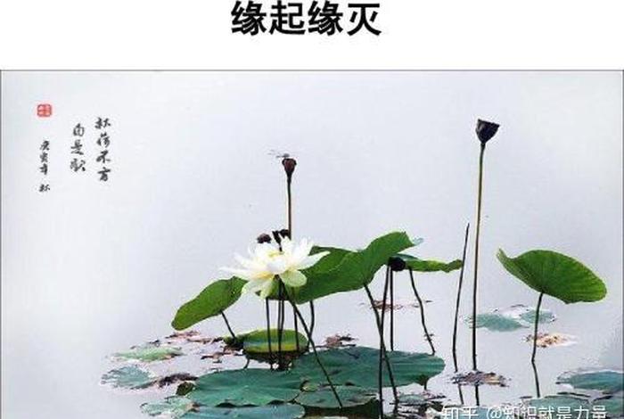 心似菩提自在般若；心似菩提树