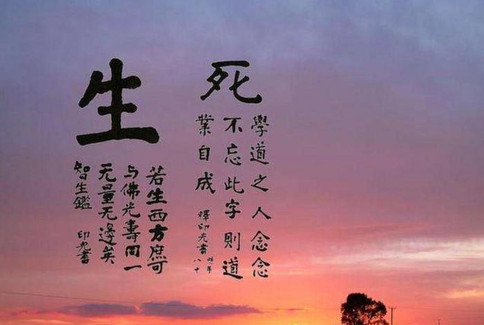 佛学轮回故事 佛学轮回句子