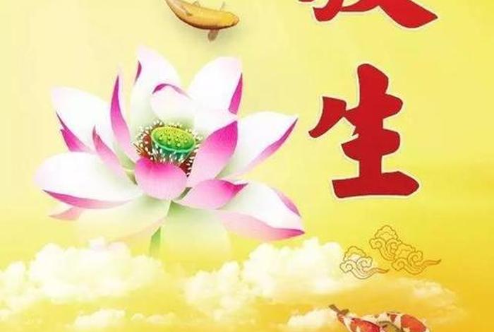 佛教放生的功德、佛教放生的功德与作用