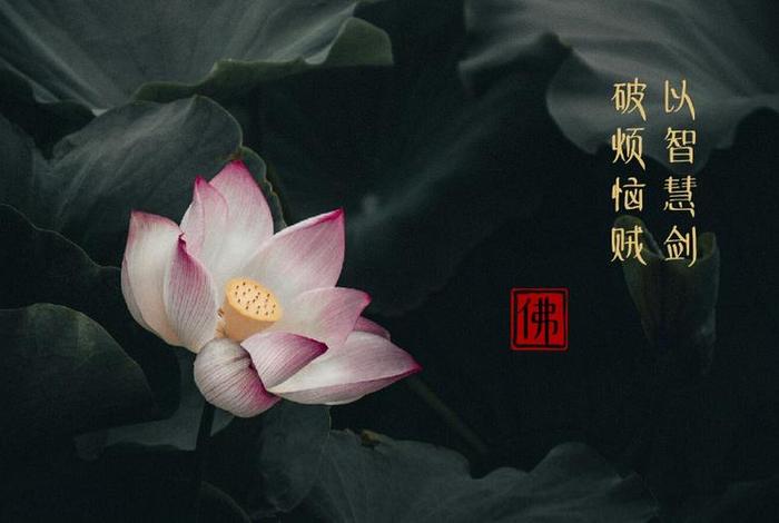 佛教 烦恼；佛教 烦恼业障的句子