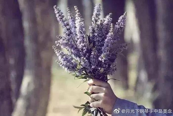 佛学如何评价美女 佛学如何评价美女的话