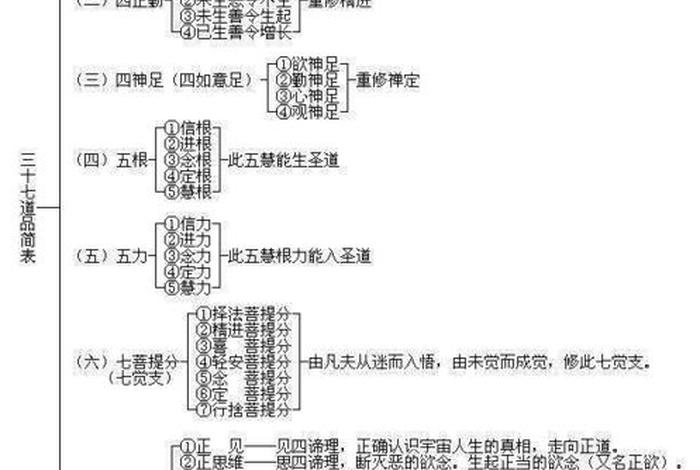 佛教中八正道啥意思 - 佛教八正道的具体内容