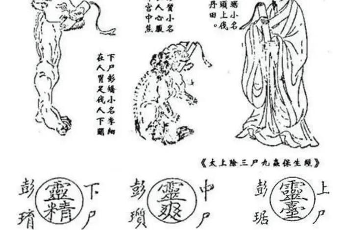 修仙是道教还是佛教；修仙是哪个道教发明的