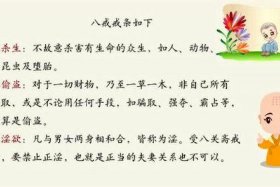 佛教常识100首视频 - 佛教基础知识视频