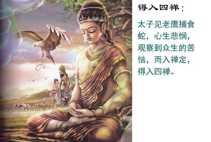 初中历史释迦牟尼，初中历史佛教