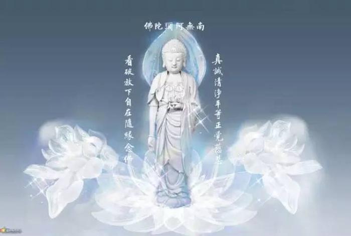 学佛梦境解释大全（学佛 梦境）