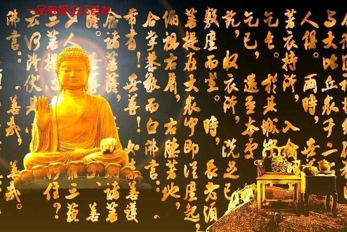 佛教正能量视频素材；正能量的学佛视频