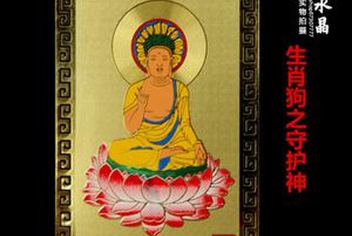 佛教关于狗的知识有哪些 - 佛教中狗的称呼