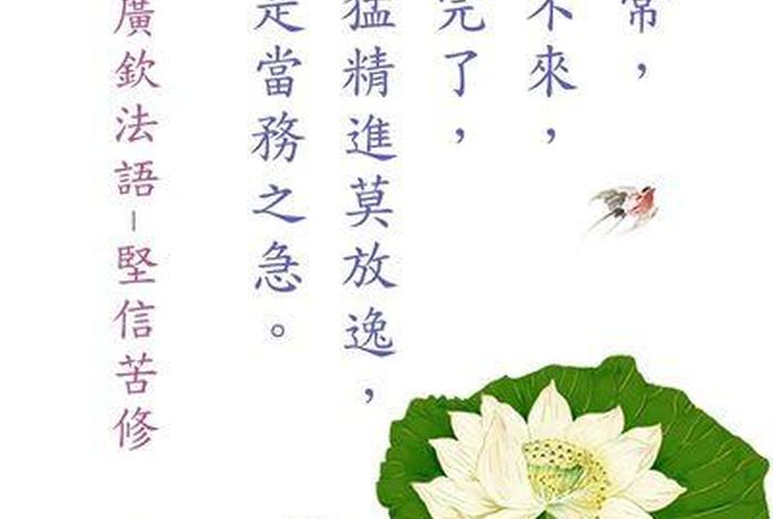 佛教法语1000句 - 佛法 语
