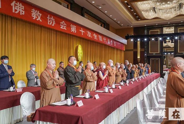 中国佛教协会是什么组织 - 中国佛教协会是什么性质