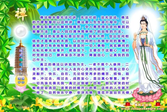 佛教知识与智慧的结合图片高清，佛教有关知识
