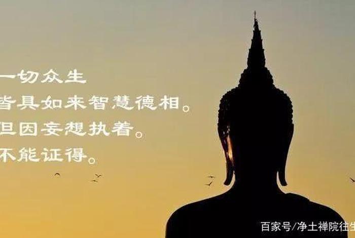 佛教不能看的五种事（佛教不能看的五种事情）