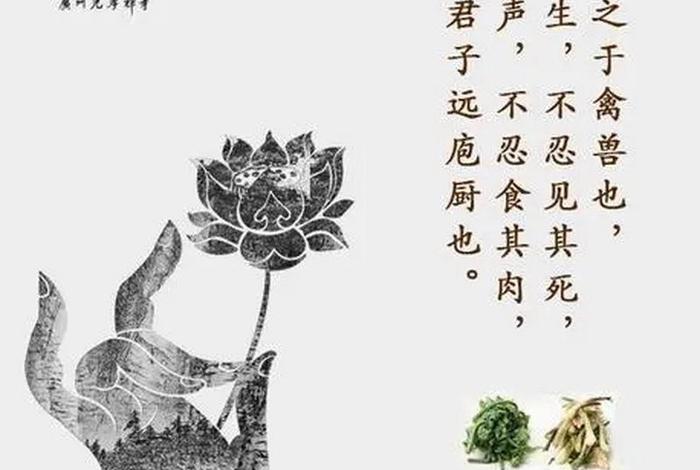佛教术语三净肉，三净肉啥意思