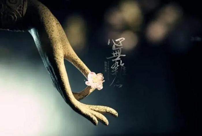 为什么佛教不鼓励生育 - 佛教徒不生孩子