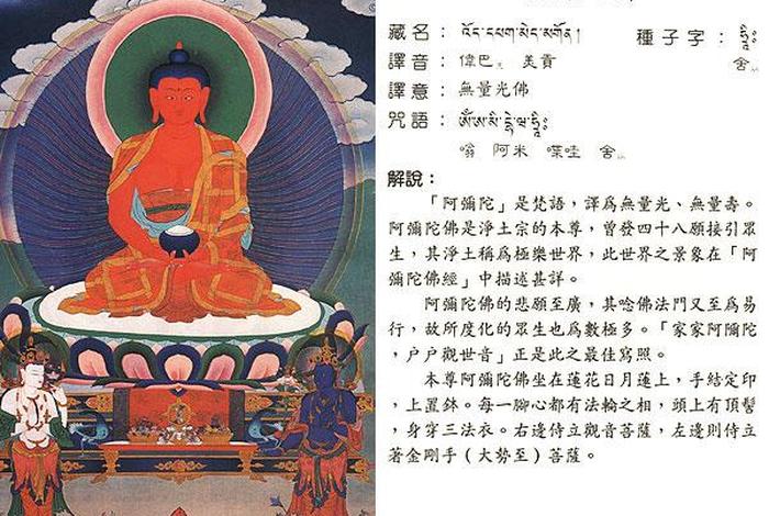 佛教阿弥陀佛的来历身世 - 阿弥陀佛简介介绍