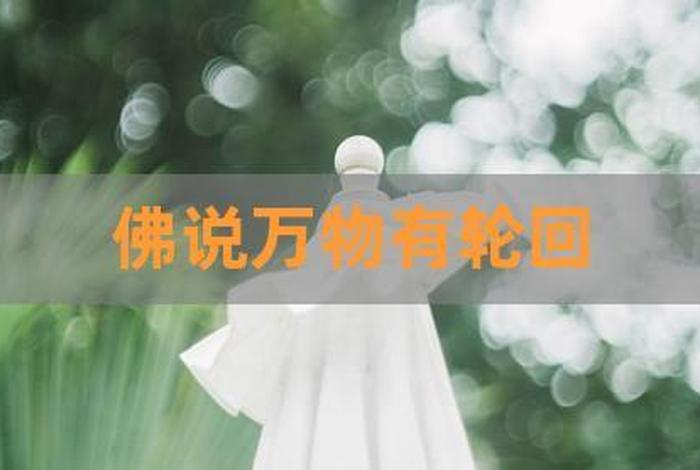 佛说因果轮回的规律；佛说因果轮回的名句