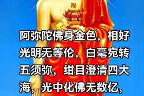 南无阿弥陀佛怎么理解，何为南无阿弥陀佛