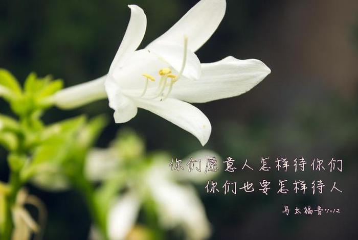 基督徒如何理财；基督徒投资