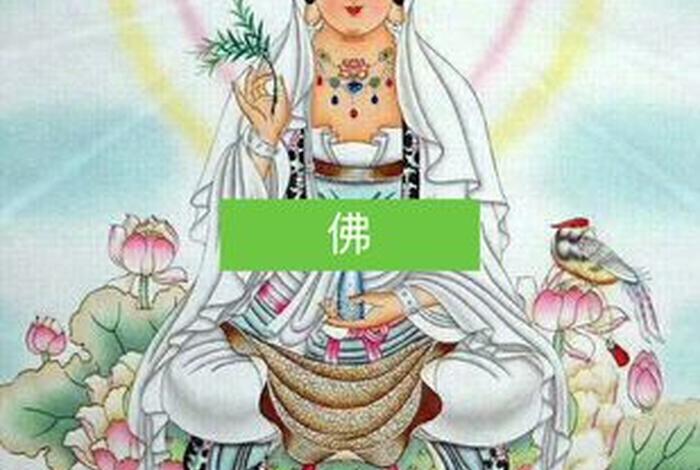 快手上的讲佛的可信吗；快手上佛教的作品都是怎么发布上的