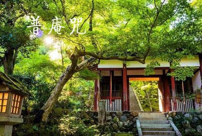佛教乱七八糟的后果；佛教乱七八糟的后果是什么