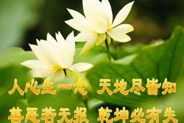 佛说身上臭味大的人 - 身体臭的因果