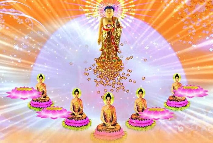 佛教祝福视频素材库大全；佛教视频素材265